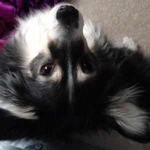 Meet your Posher, Natalie